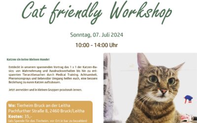 Cat friendly Workshop – Verschoben!