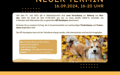 Neuer Termin für NÖ Hundepass