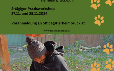 Chirag Patel im Tierheim Bruck